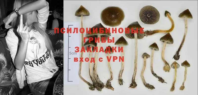 Галлюциногенные грибы MAGIC MUSHROOMS  Кимовск 